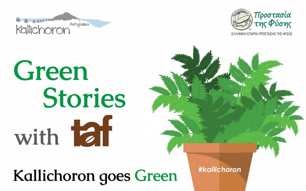 Kallichoron Green Stories with Taf